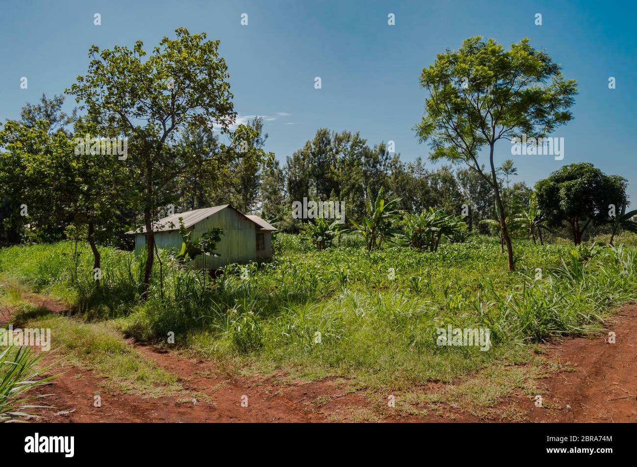 House in rural Kenya, Africa. A house in rural Kenya, Africa. A very ...