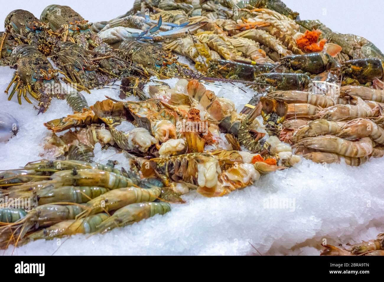 lots of seafood seen at a market in Dubai Stock Photo Alamy