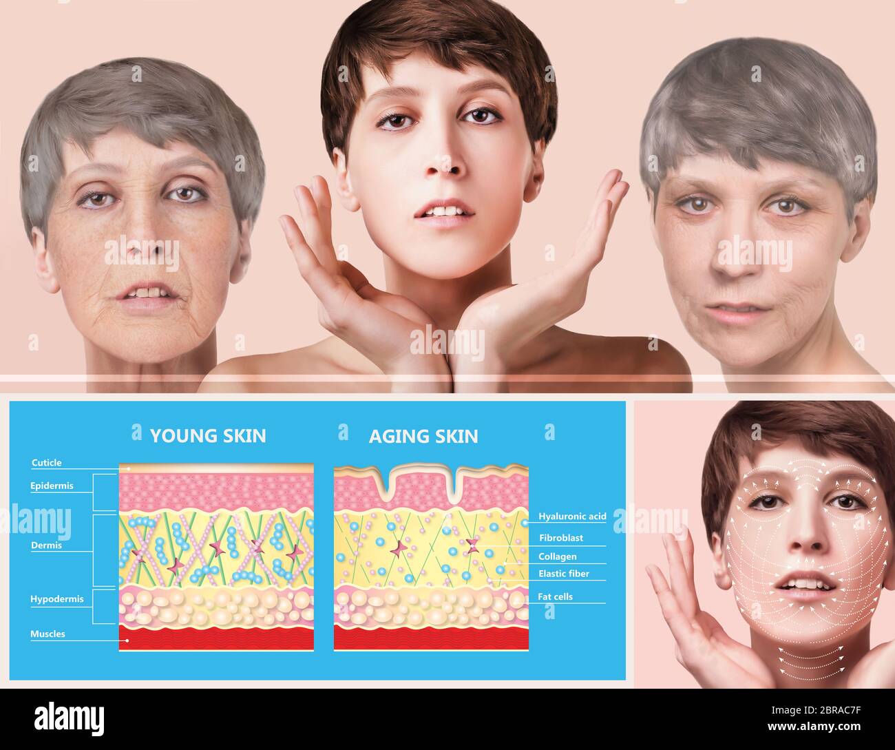 Woman Half Young Face Half Old Face High Resolution Stock Photography And Images Alamy Woman Half Young Face Half Old Face High Resolution Stock Photography And Images Alamy