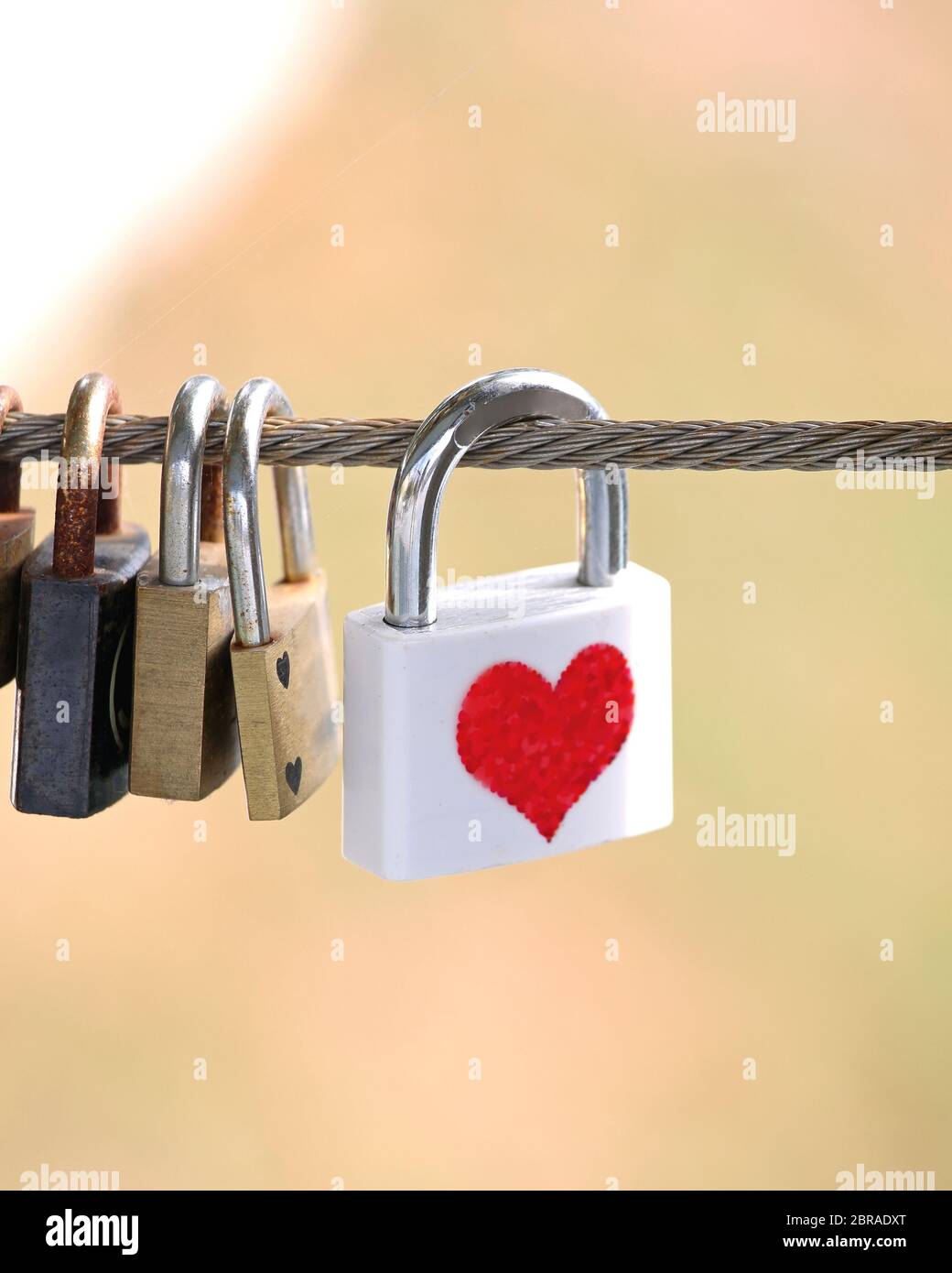 Padlock With Red Heart Locked at Bridge Fence Stock Photo - Alamy