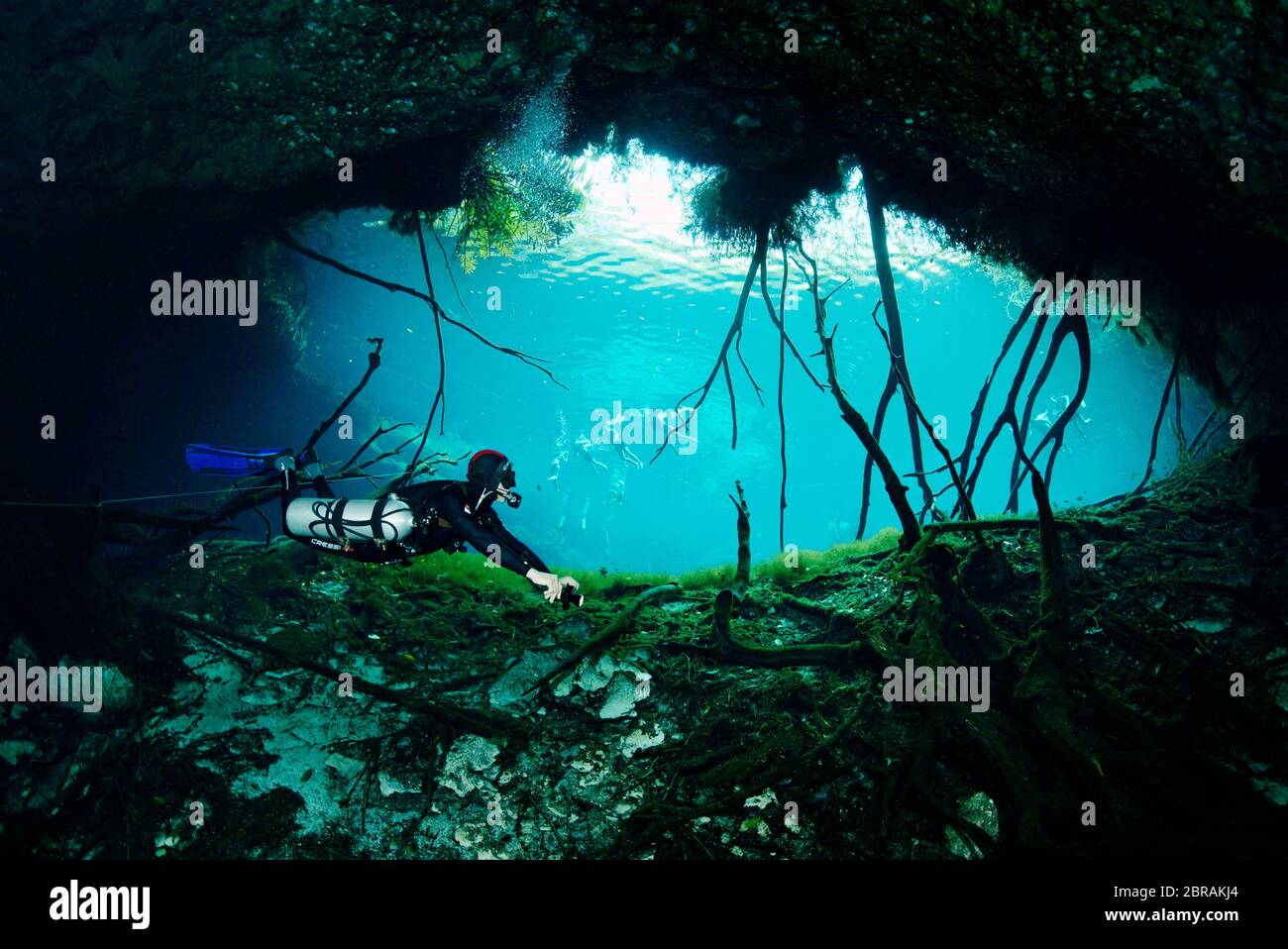 Sidemount technical diver with a torch in cenote  Car Wash near Tulum Stock Photo