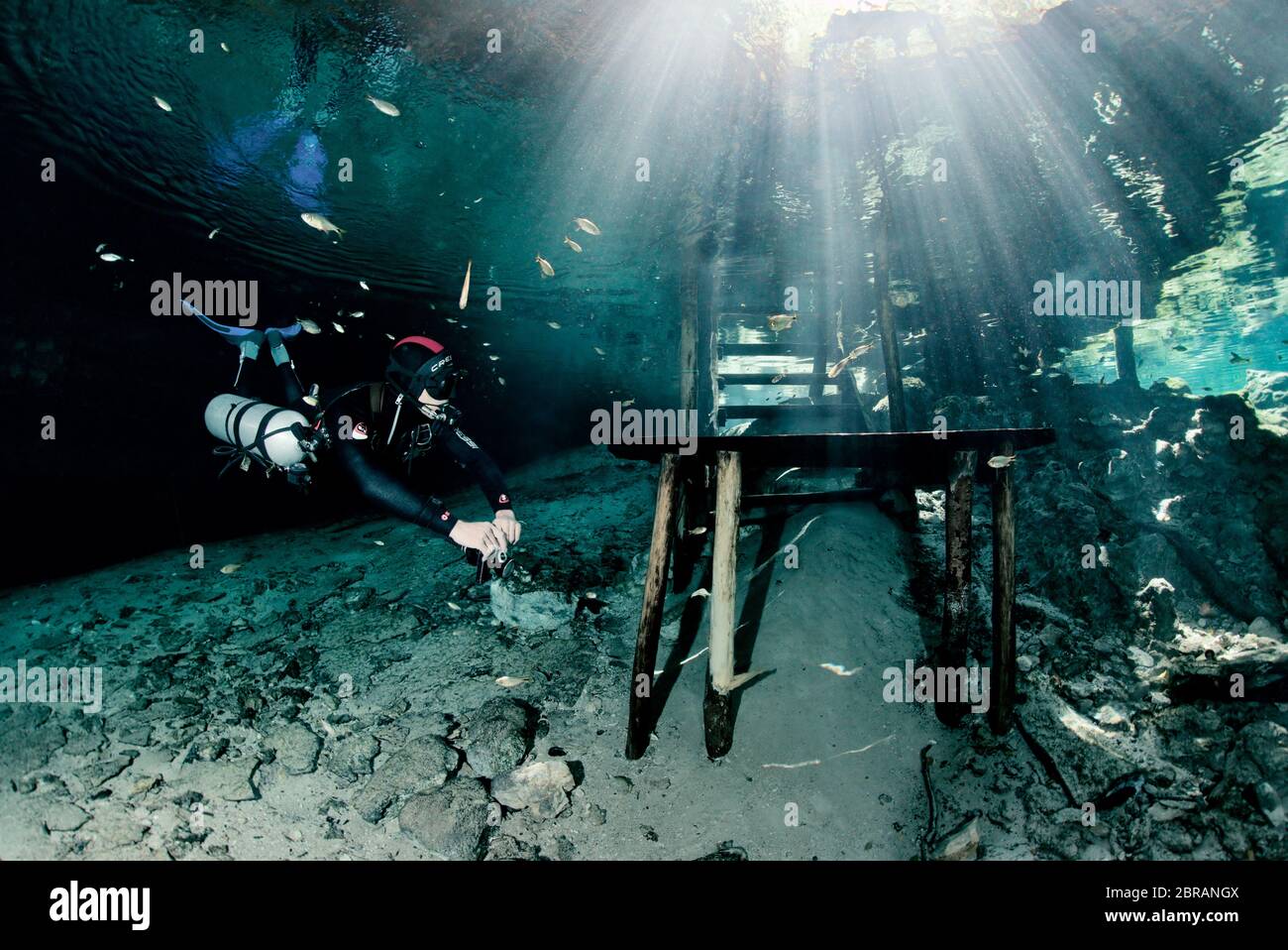Sidemount technical diver swimming at the entrance of the cenote Dreamgate in Mexico. Stock Photo