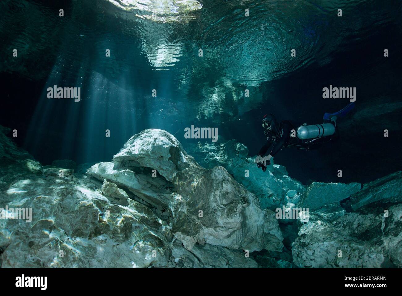 Sidemount technical diver swimming in the Tajma Ha (Taj Mahal) cenote in Playa del Carmen. Stock Photo