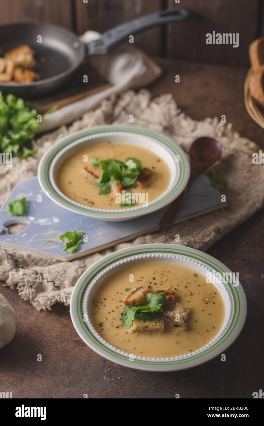 Delicious homemade soup, food photography, bio organic food Stock Photo