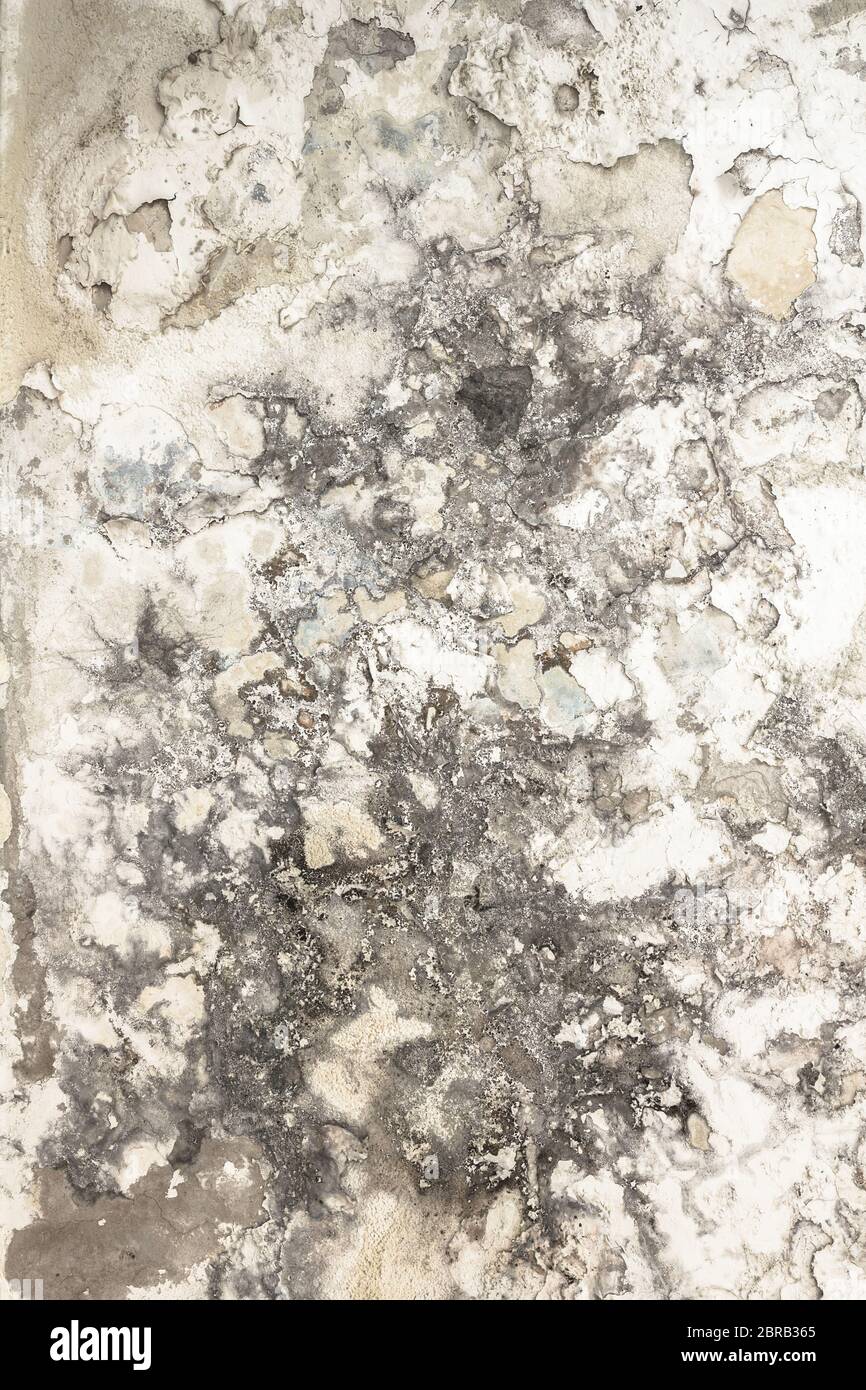 Effects of damp on plaster, damaged wall texture. Stock Photo