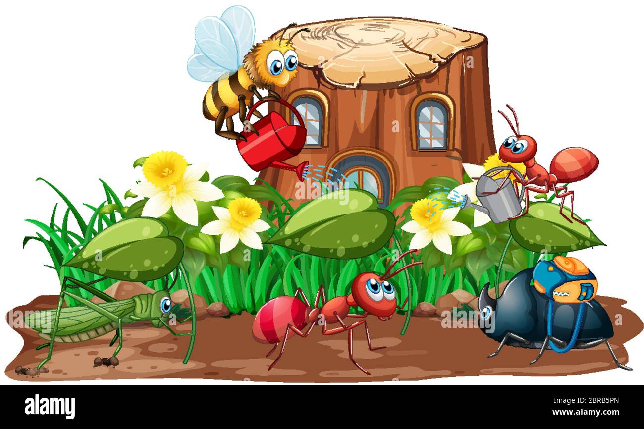 Insect in the nature illustration Stock Vector Image & Art - Alamy