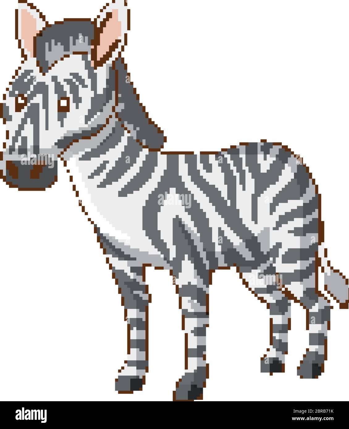 One zebra on white background illustration Stock Vector Image & Art - Alamy