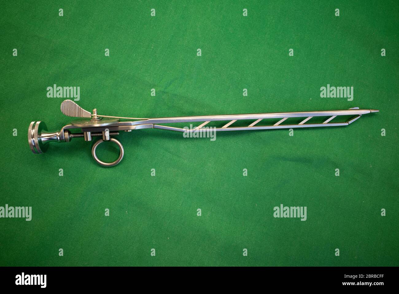 Urethra female hires stock photography and images Alamy