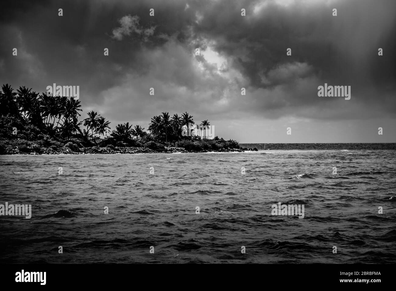 Perfect black and white beach scene. Sunset, sunrise silhouette of