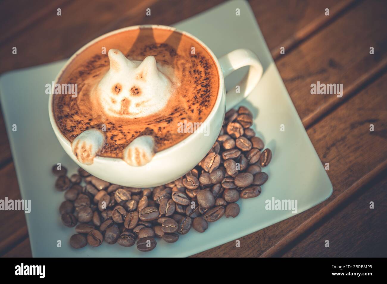 Kitty latte art, fresh coffee made by barista. Artistic latte art Stock