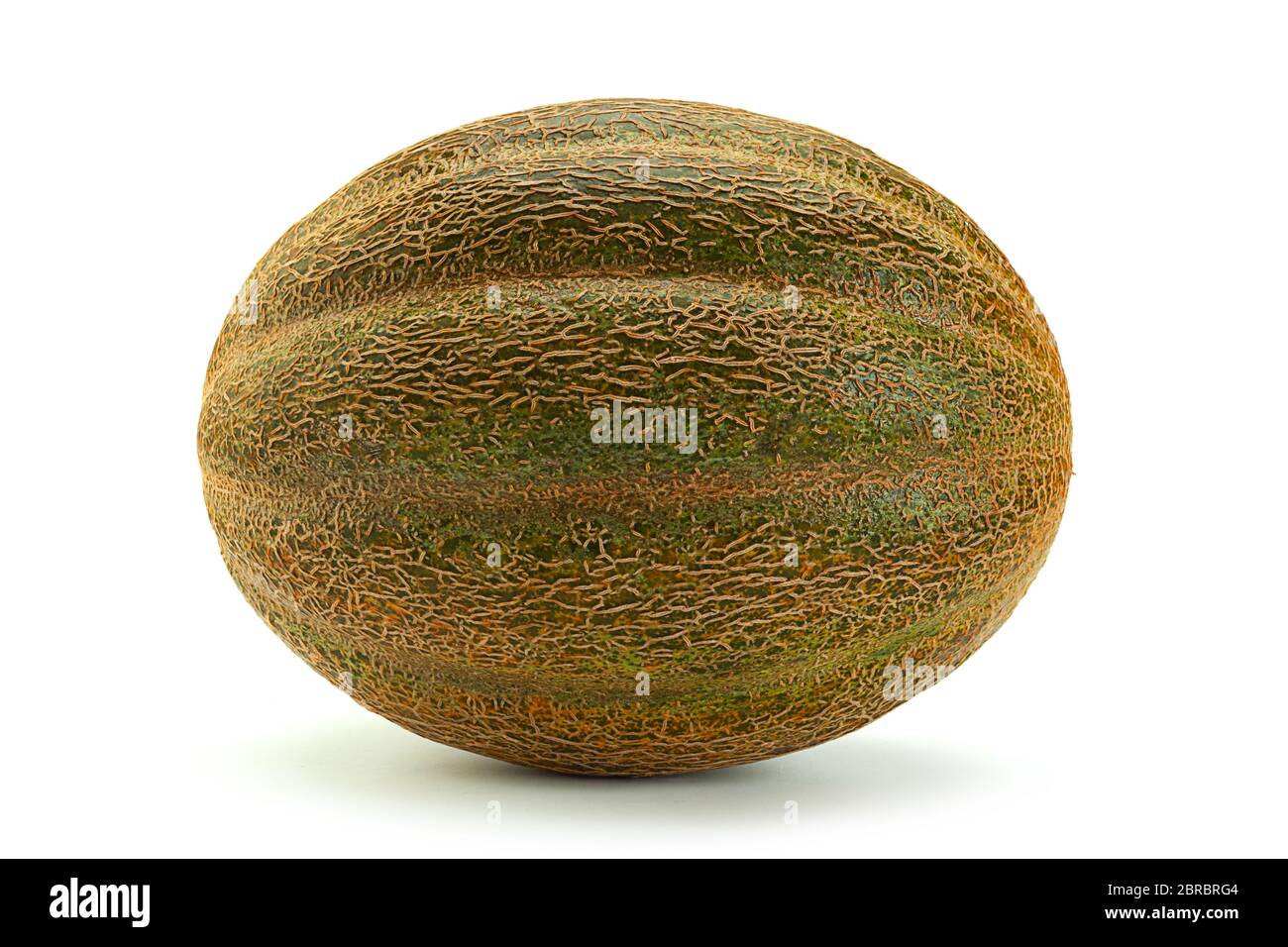 Ripe melon fruit colseup isolated on white background Stock Photo