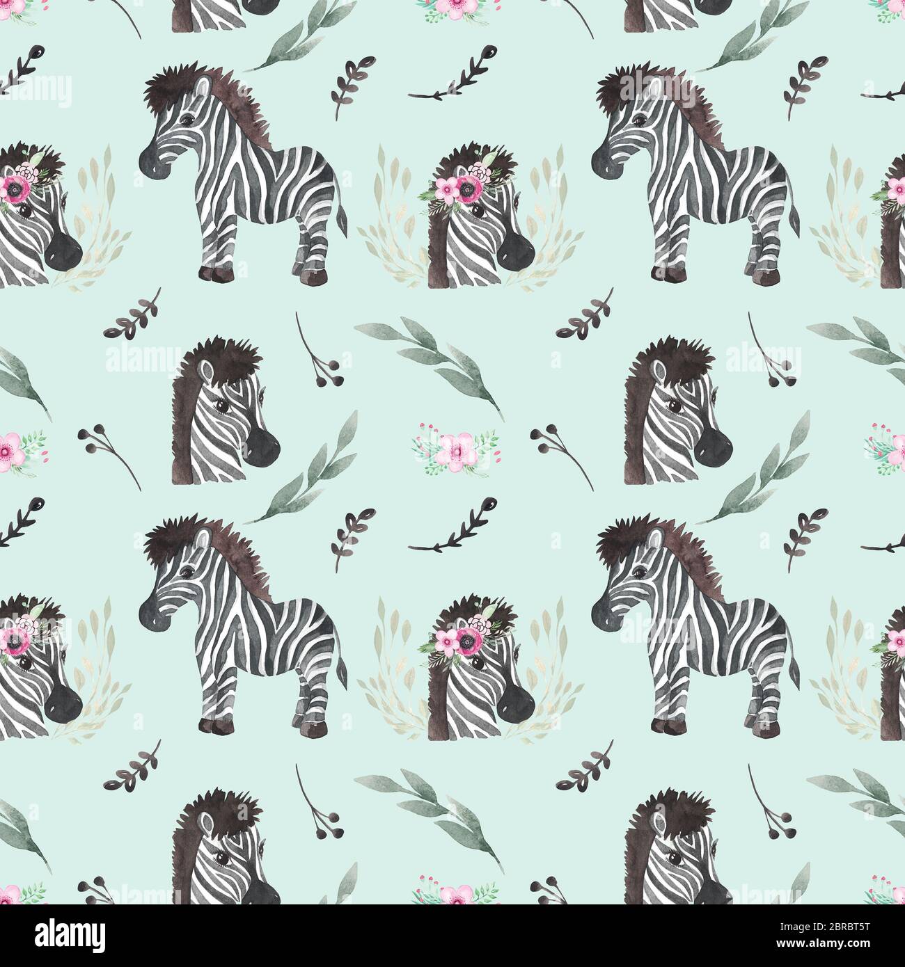 Baby Zebra Wallpaper