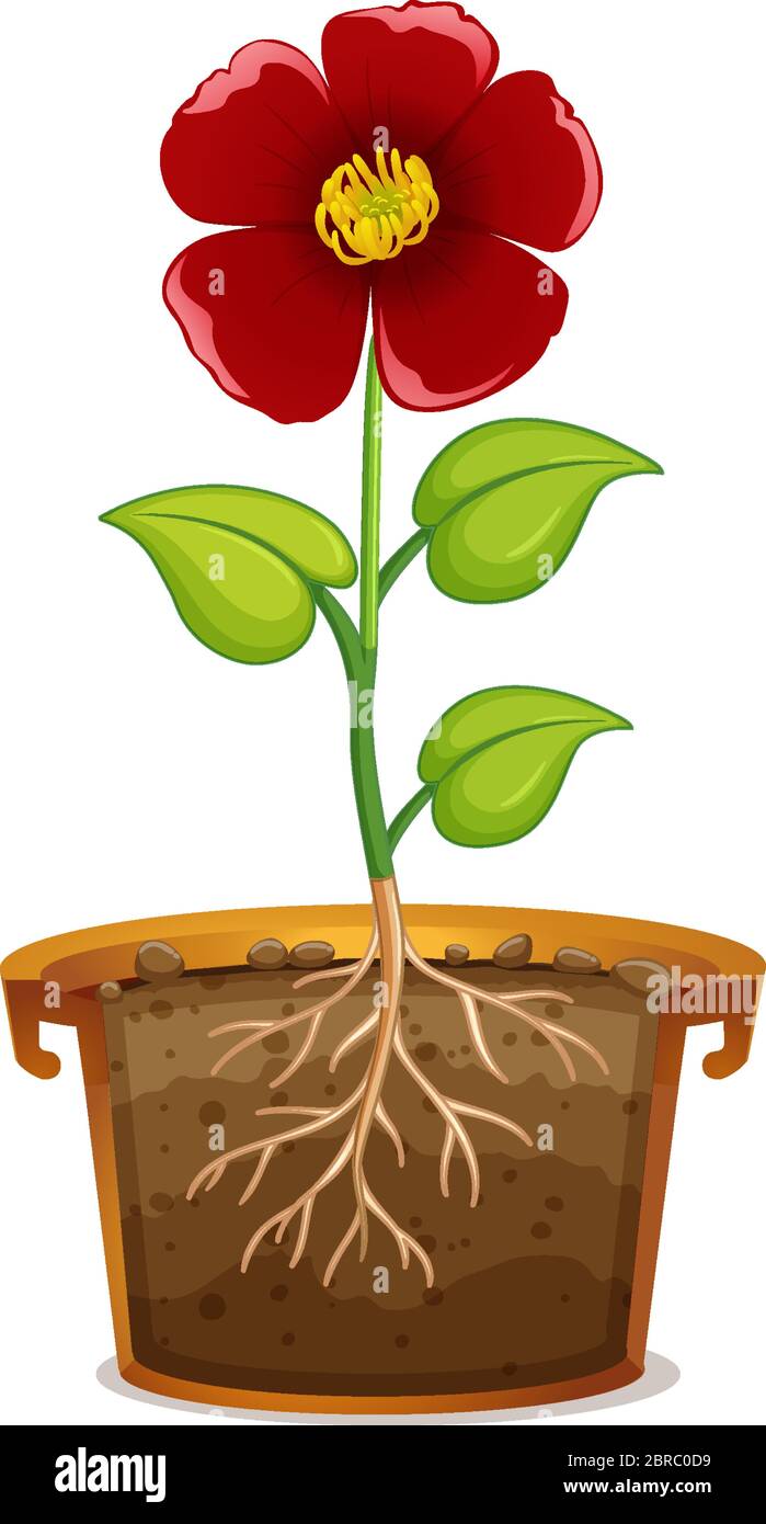 Flower Pot Clip Art - Terracotta Flower Pot Clip Art