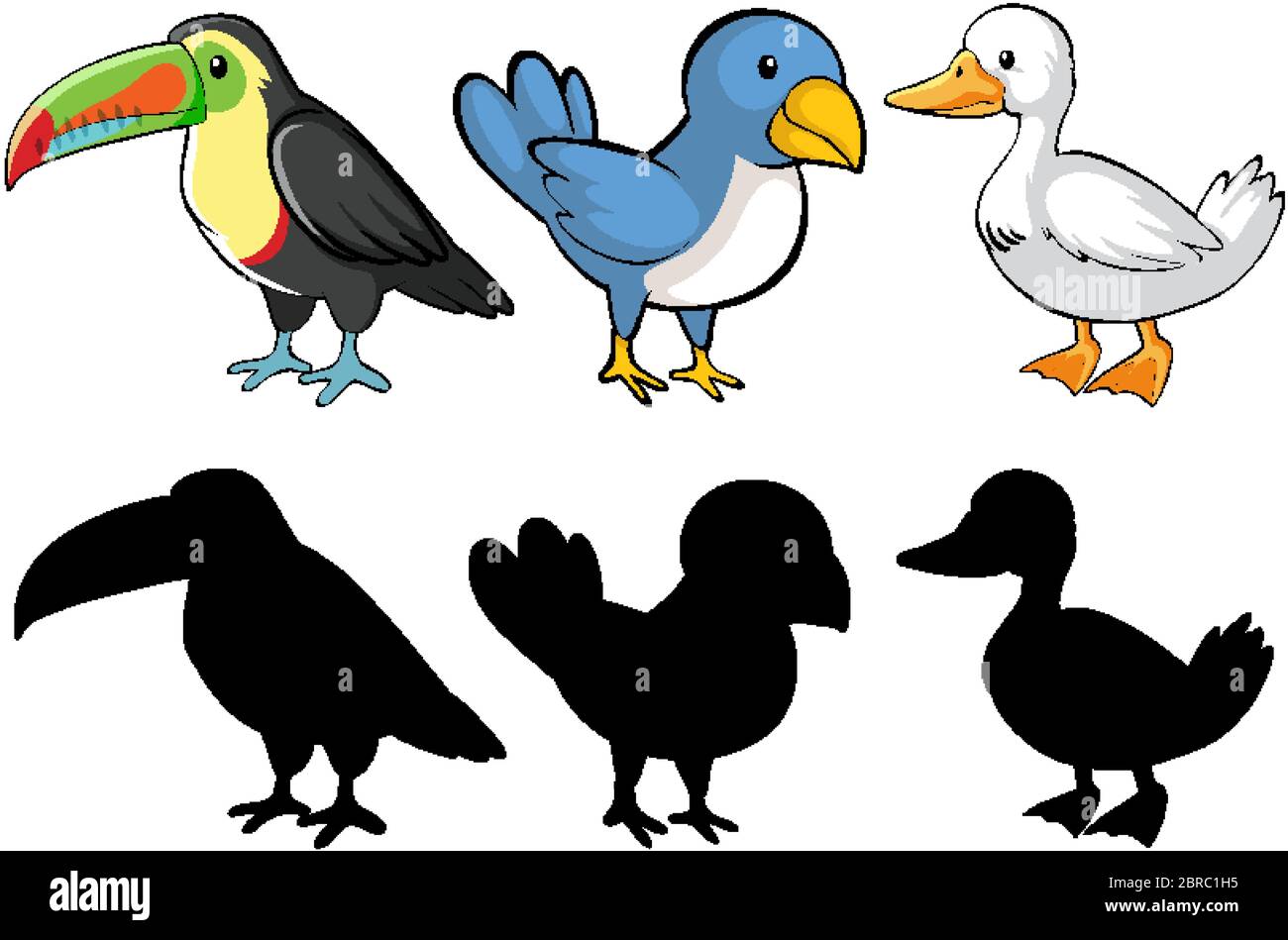 Set of bird in color an shadow illustration Stock Vector Image & Art ...