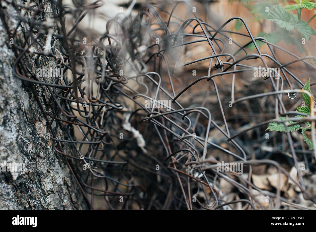 Rusty iron wire. Old mesh netting. Pieces of wire. Scrap metal. Close