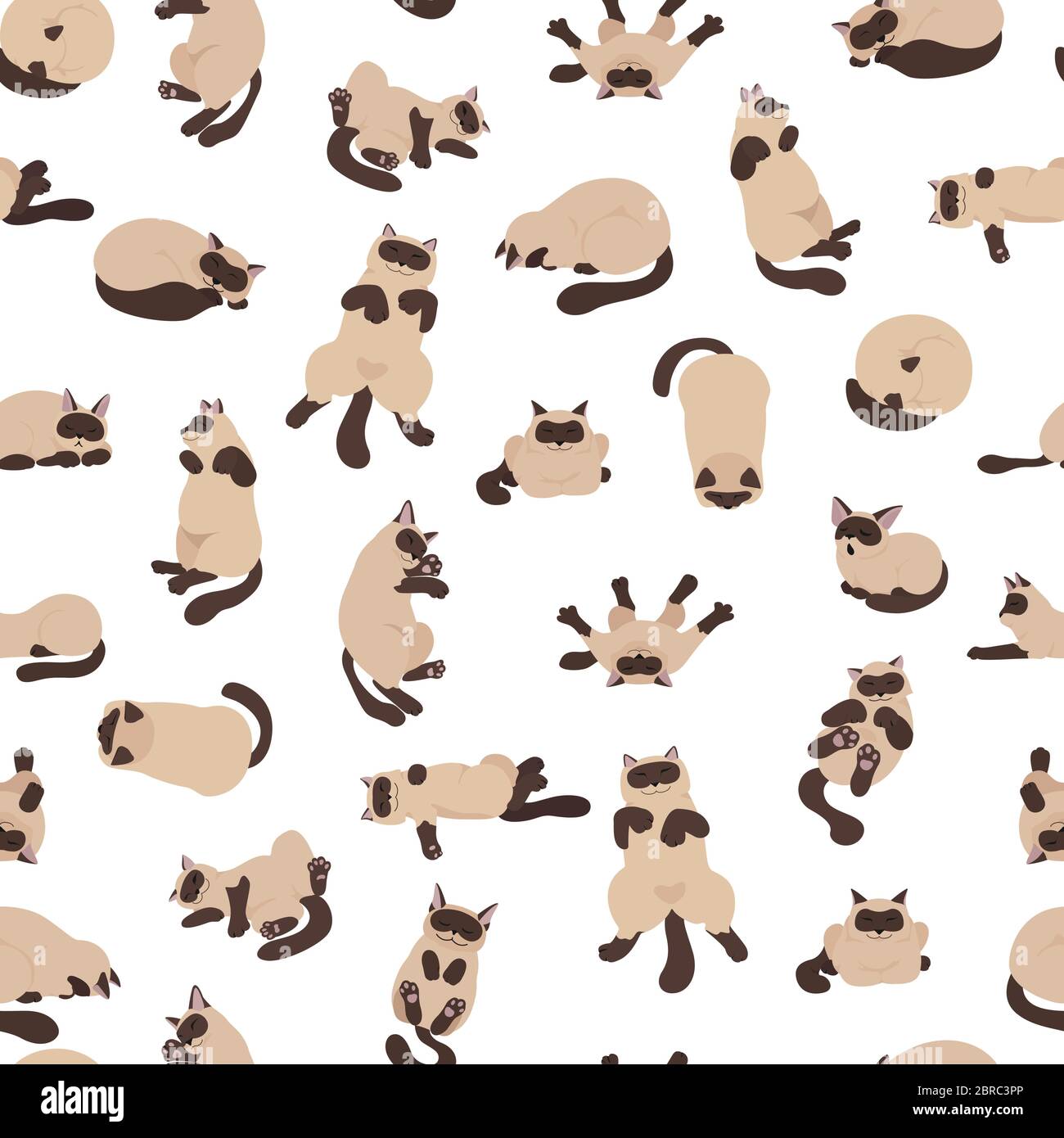 Sleeping cats poses seamless pattern. Flat color simple style design