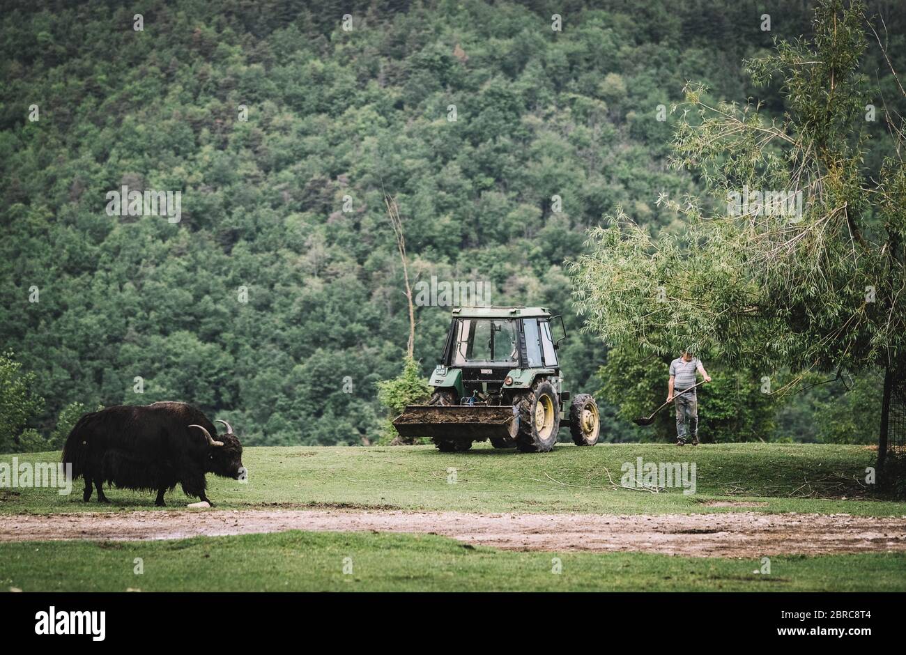 Murazzano, Italy. 20th May, 2020. A staff member works at Langhe safari park in Murazzano, Italy, May 20, 2020. The Langhe safari park has been closed since March due to the COVID-19 pandemic. In order to continue feeding and taking care of the animals, the park has to seek help from restaurateurs, farmers and shopkeepers to donate food to feed the animals. Credit: Federico Tardito/Xinhua/Alamy Live News Stock Photo