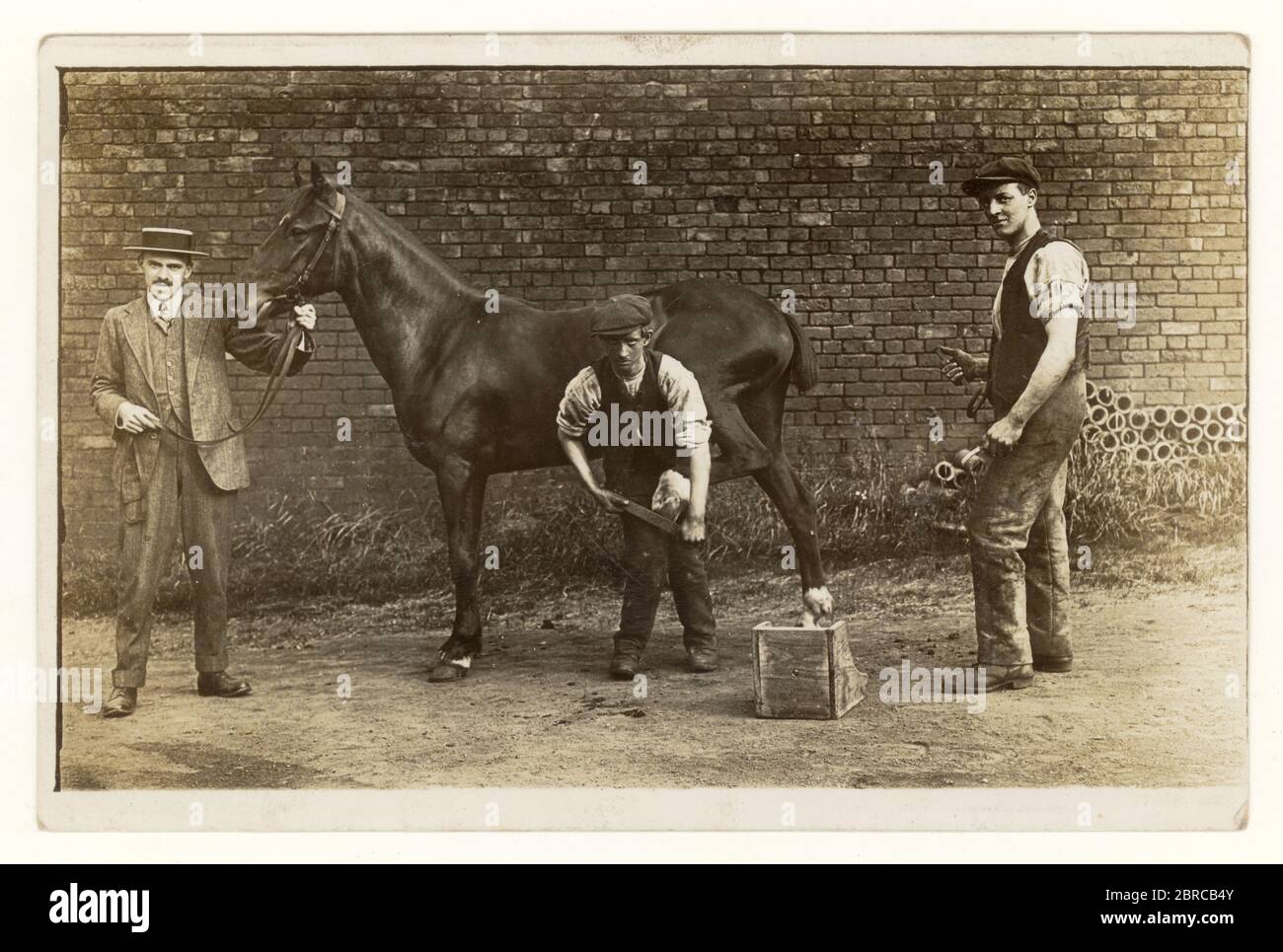 Early 1900's Edwardian era postcard of farrier or village blacksmith shoeing a horse with owner, circa 1910, U.K. Stock Photo