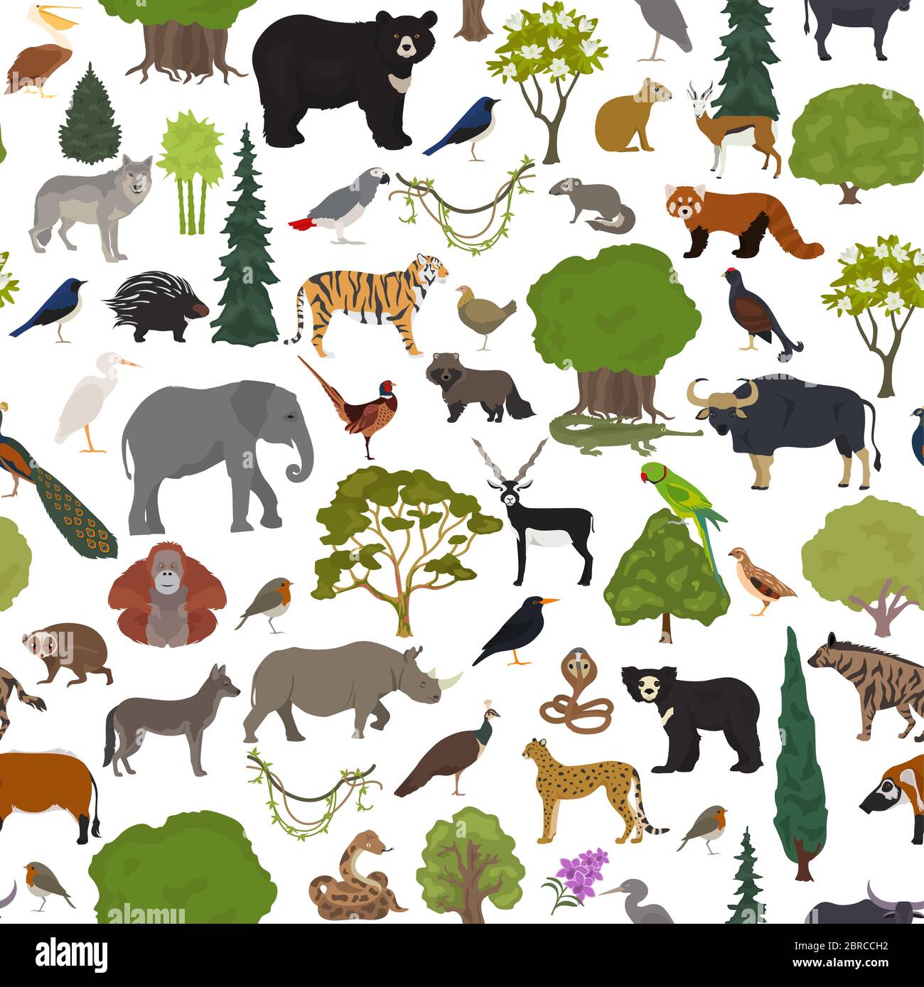 Monsoon forest biome, natural region seamless pattern. Terrestrial ecosystem world map. Animals, birds and vegetations design set. Vector illustration Stock Vector