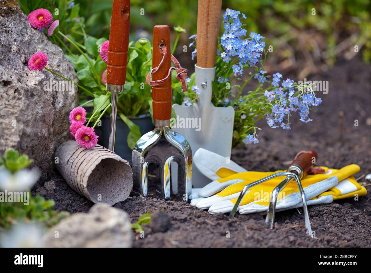 Spring Garden Tools Gardening tools and spring flowers in the garden. Gardening concept ...