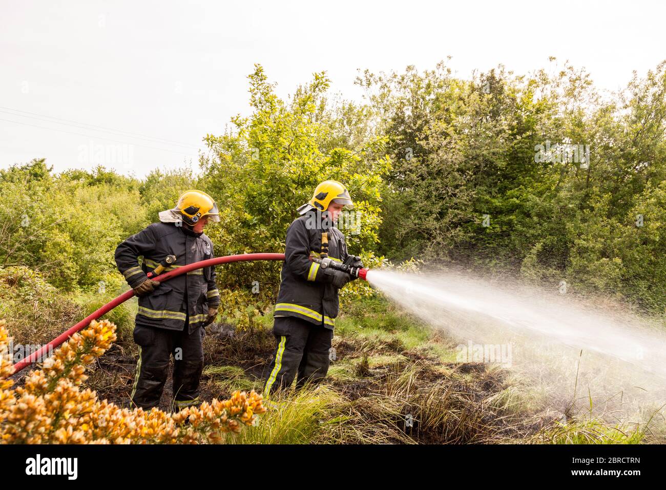 Carrigaline, Cork, Ireland. 20th May, 2020. Two units of the Fire brigade   extinguish a gorse fire that took place on waste ground outside the town of Carrigaline, Co. Cork, Ireland.  - Credit; David Creedon / Alamy Live News Stock Photo