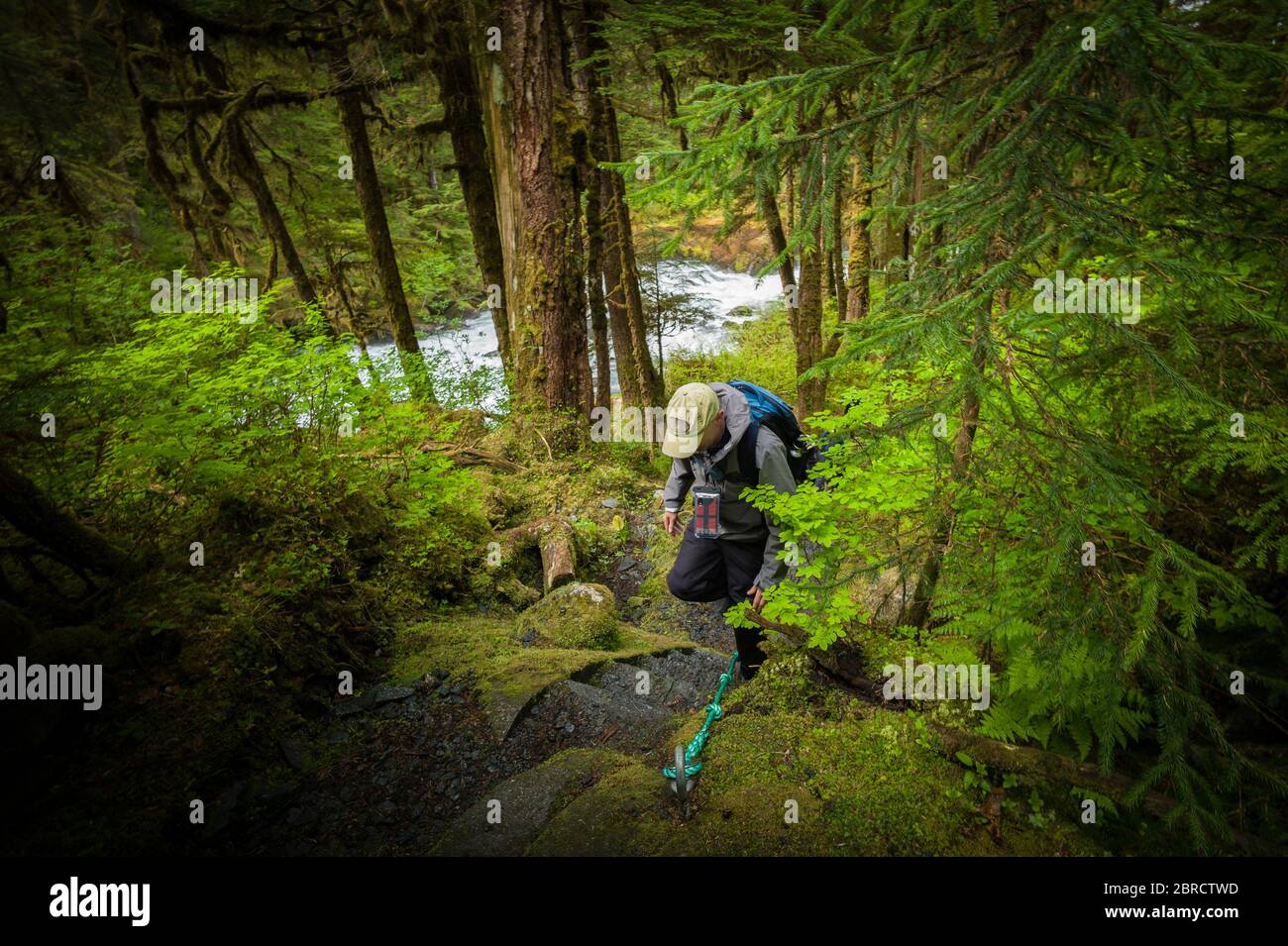 Tongass National Forest High Resolution Stock Photography and Images ...