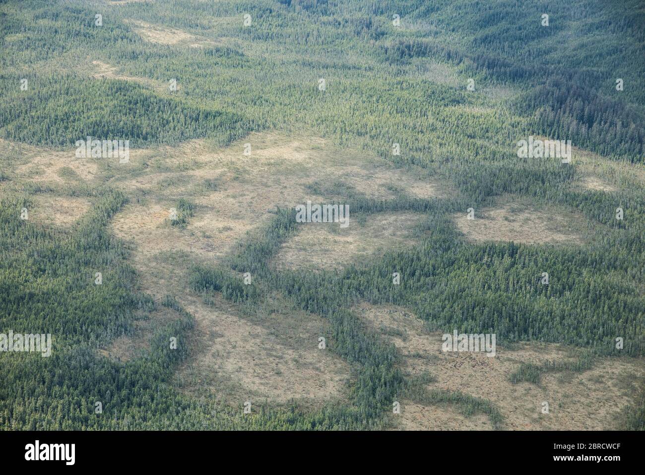 Flying into juneau hires stock photography and images Alamy