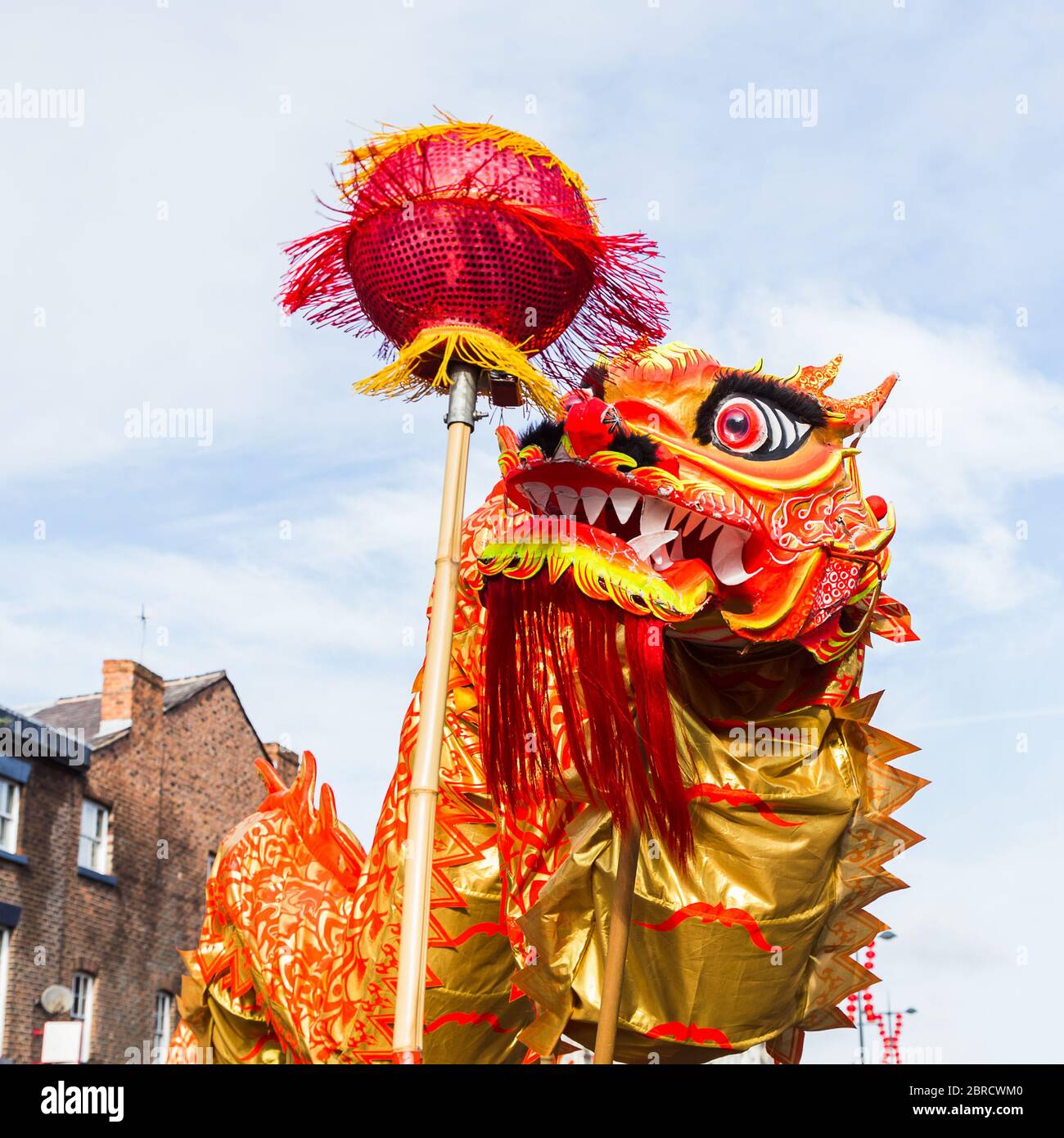 The vivid orange, red and yellow coloured dragon chases the pearl during the dragon dance in Liverpool to mark the Chinese New Year. Stock Photo