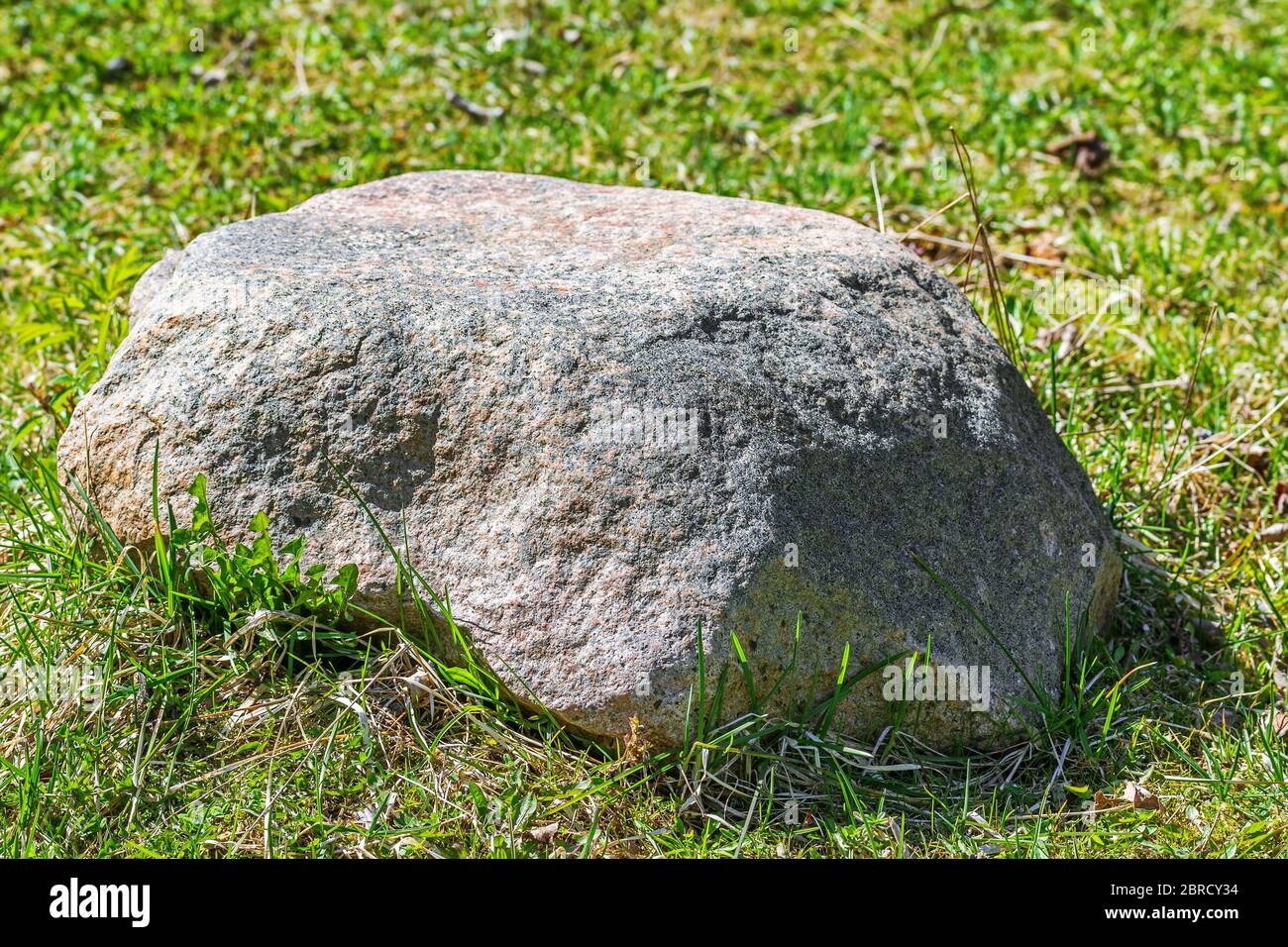 Large boulder with a flat top on a background of green grass. Focus on