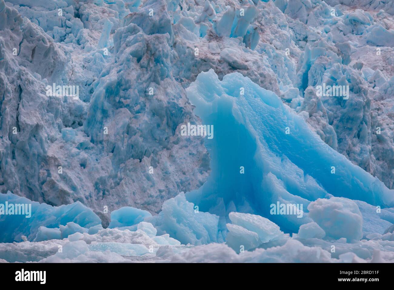 Icebergs calved from South Sawyer Glacier float down scenic Tracy Arm Fjord, Southeast Alaska, USA. Stock Photo