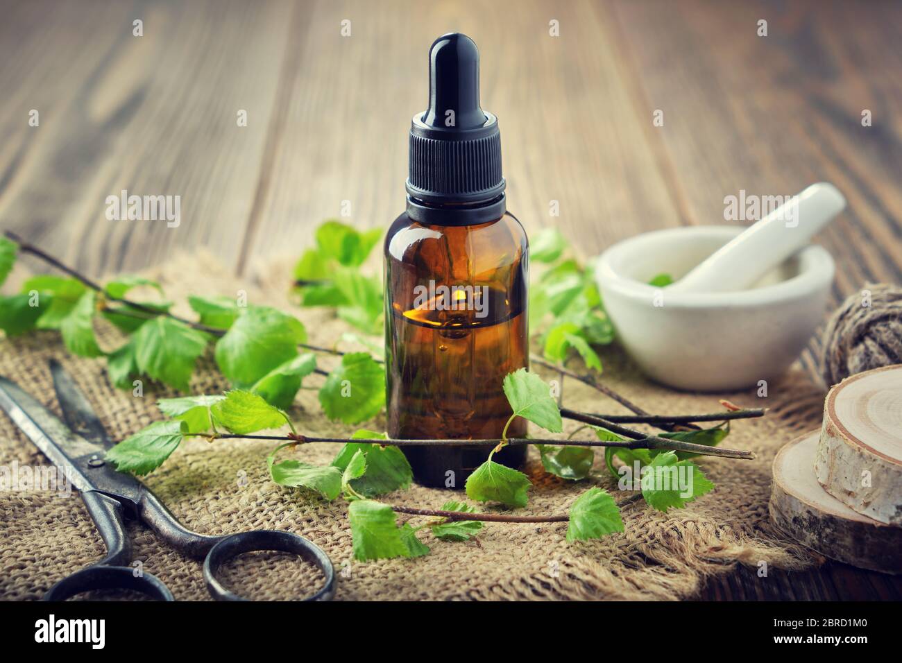 Dropper bottle of birch essential oil, herbal tincture or coal tar. Twigs of Birch tree with leaves, scissors and mortar on table. Stock Photo