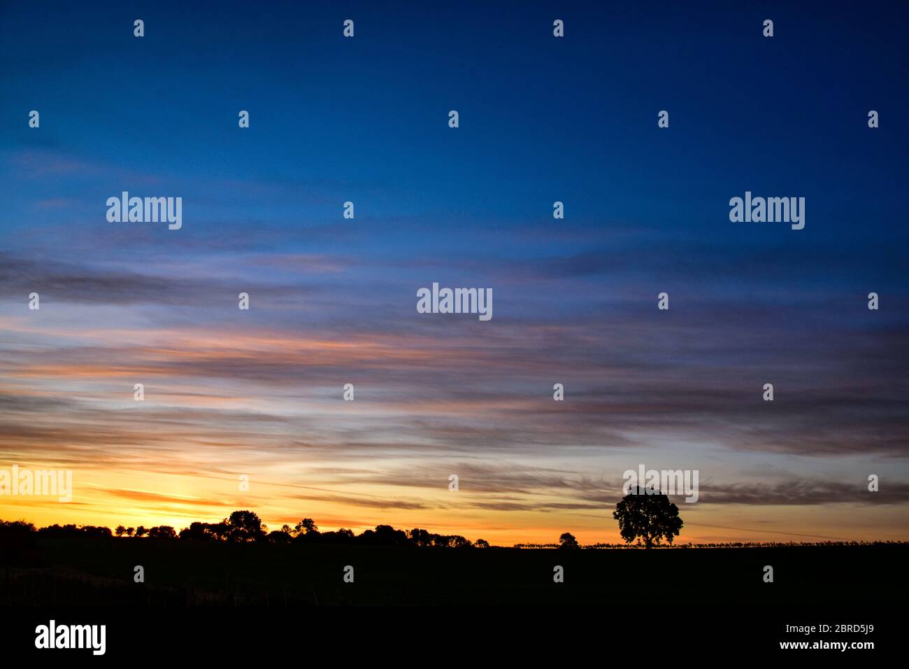 Sunrise, Grantham Canal, Vale of Belvoir Stock Photo