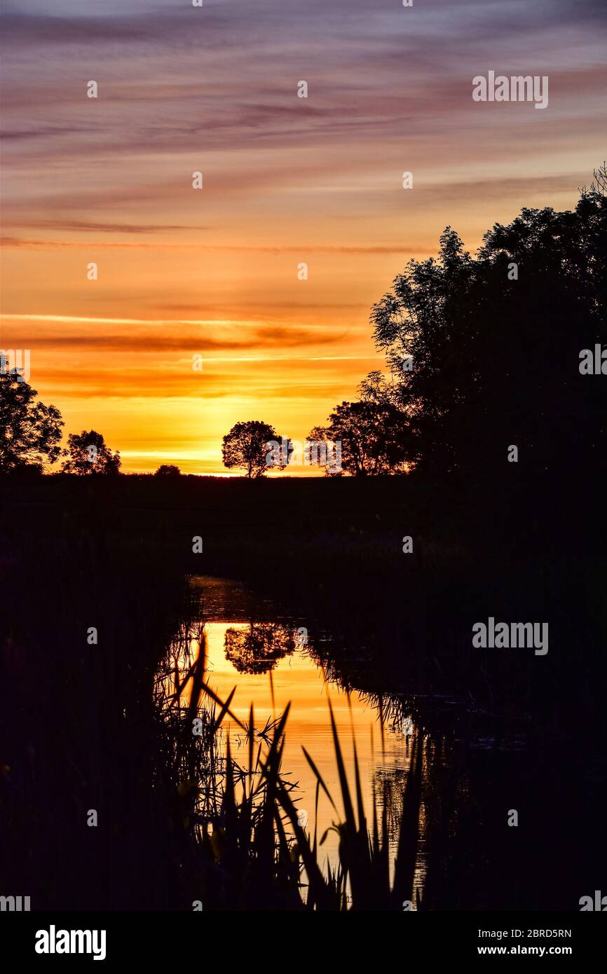 Sunrise, Grantham Canal, Vale of Belvoir Stock Photo