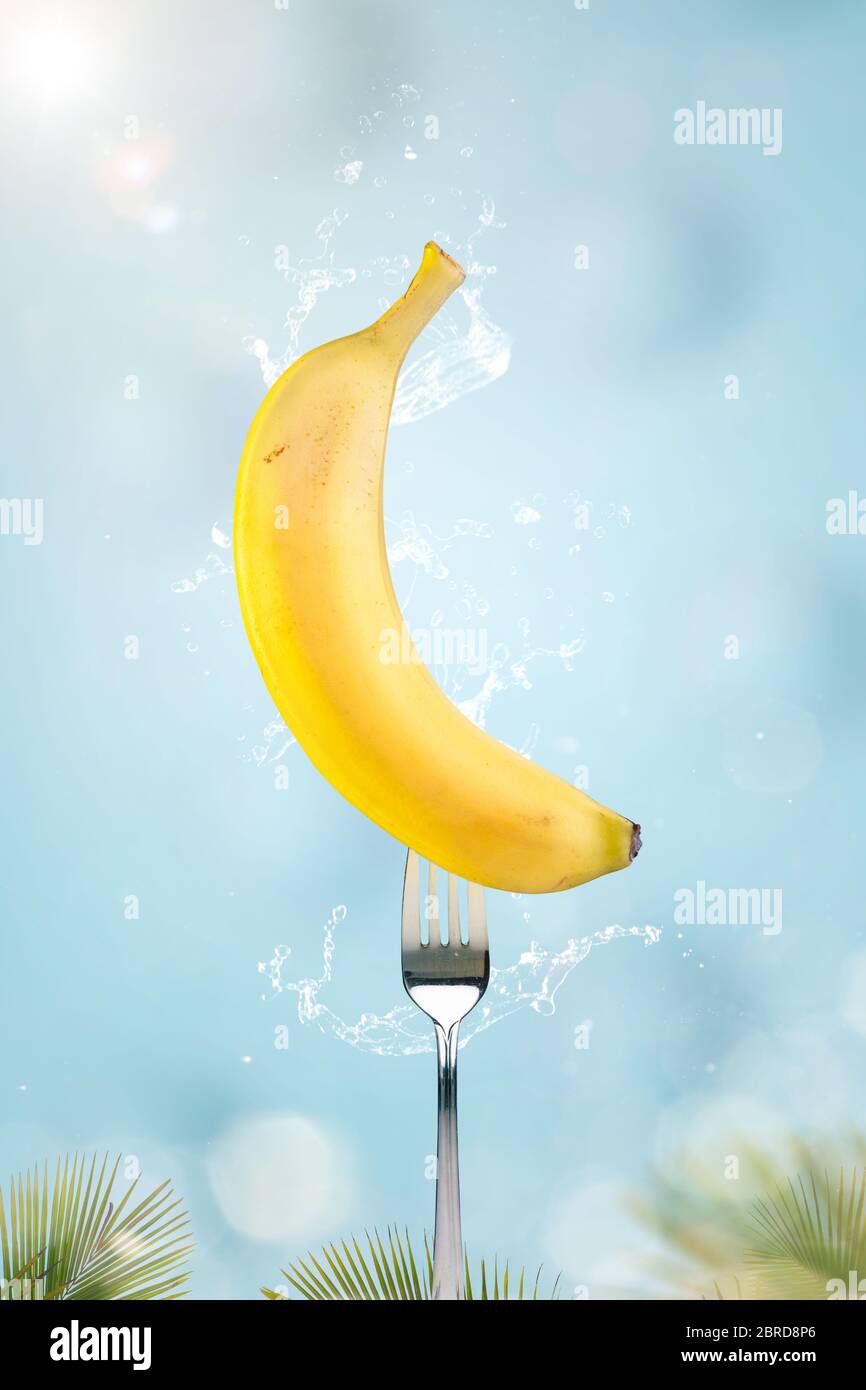 A yellow banana on a fork Stock Photo