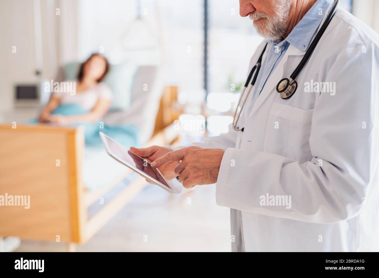 Unrecognizable doctor standing in hospital room, using tablet. Stock Photo