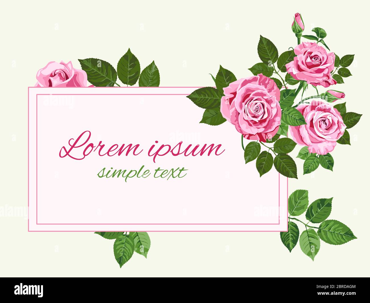 Save the date, rsvp, thank you card template with pink roses on the light  green background, copy space. Floral design for greeting or invitation  Stock Vector Image & Art - Alamy