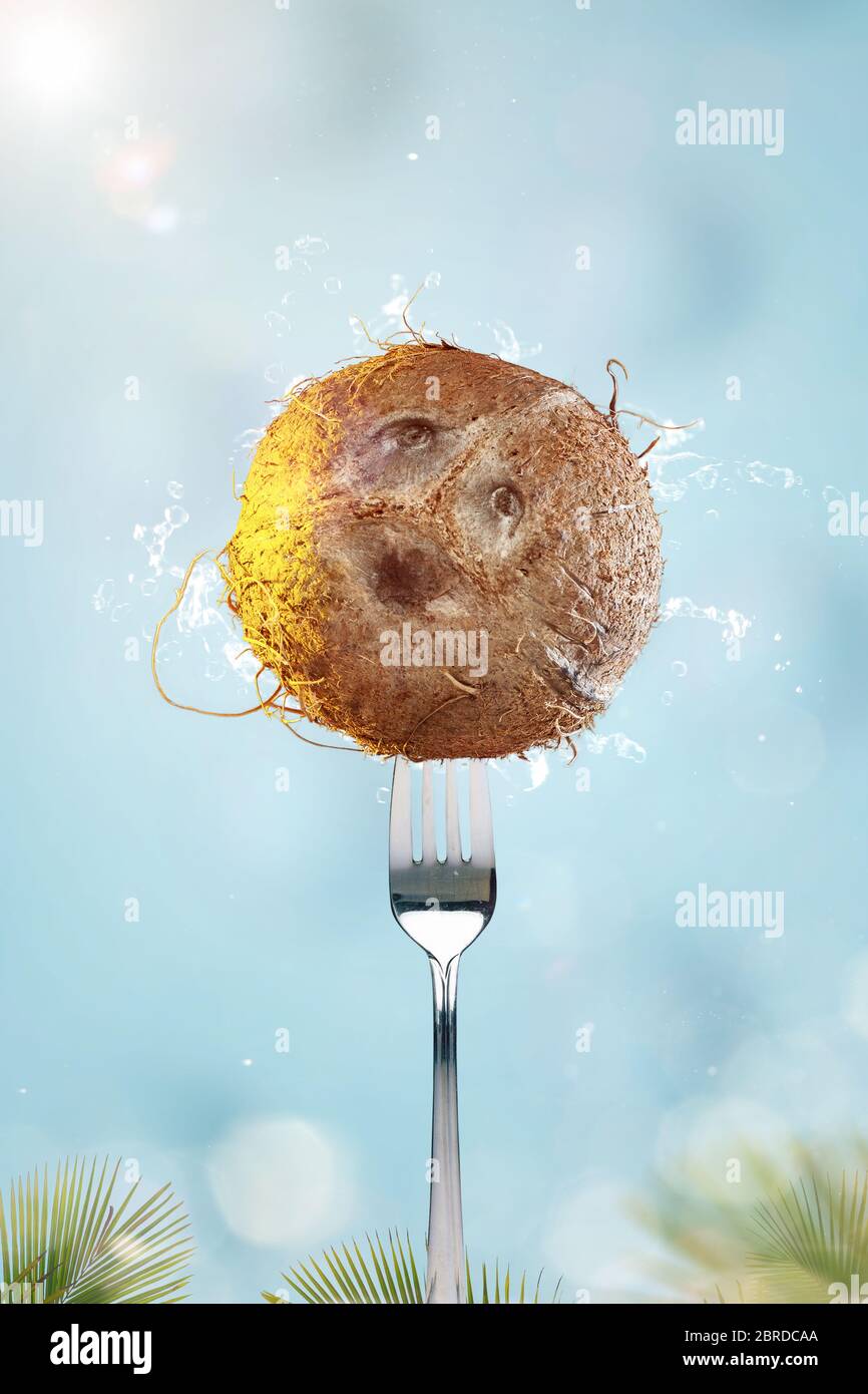 A whole coconut on a fork Stock Photo