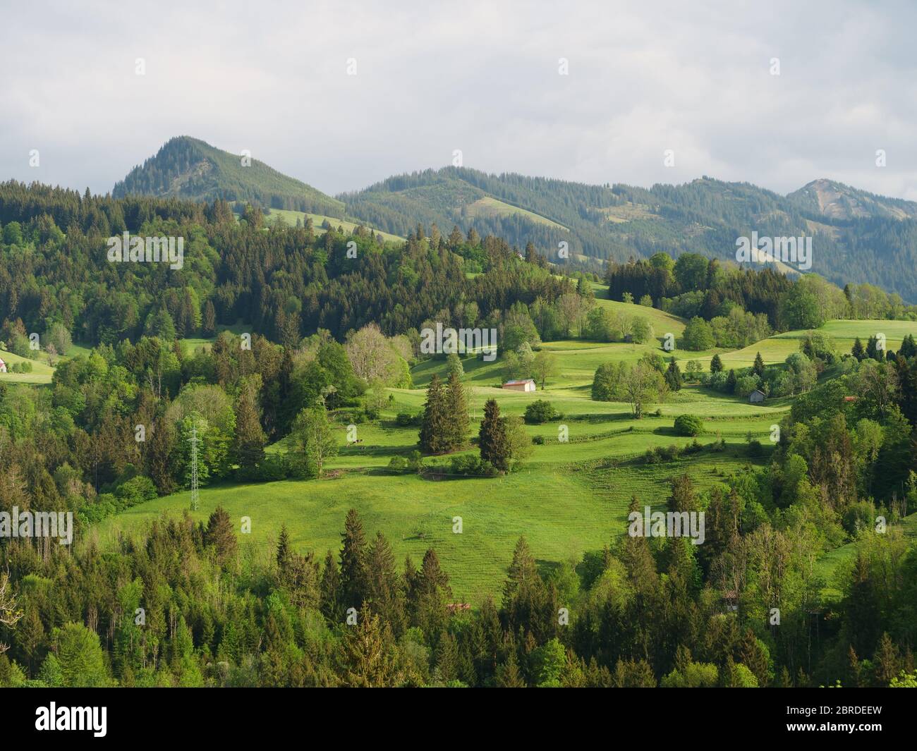 tranquil landscape with mountains and forest Stock Photo