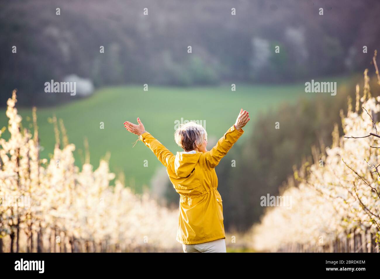 Female hood rear view hi-res stock photography and images - Alamy
