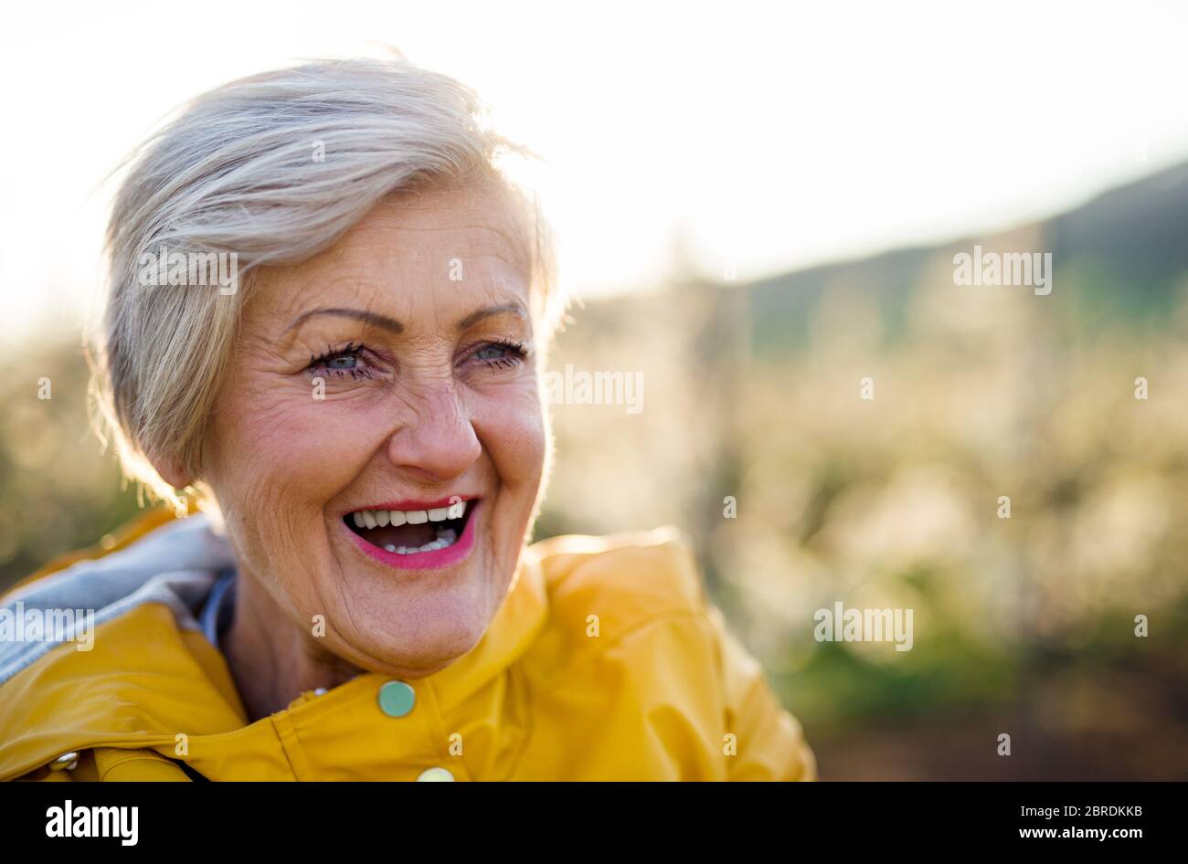 Close-up of senior woman in orchard in spring, laughing. Copy space. Stock Photo