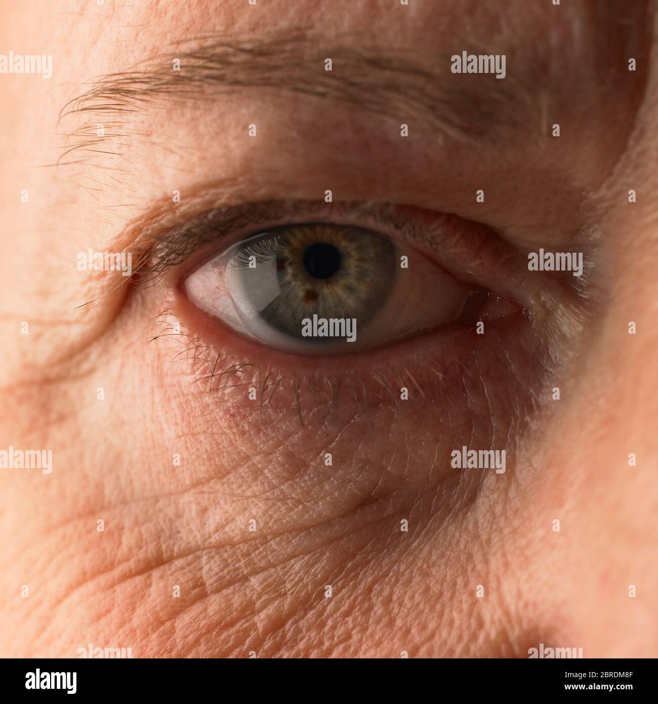 Closeup of older womans eye wearing contact lens Stock Photo