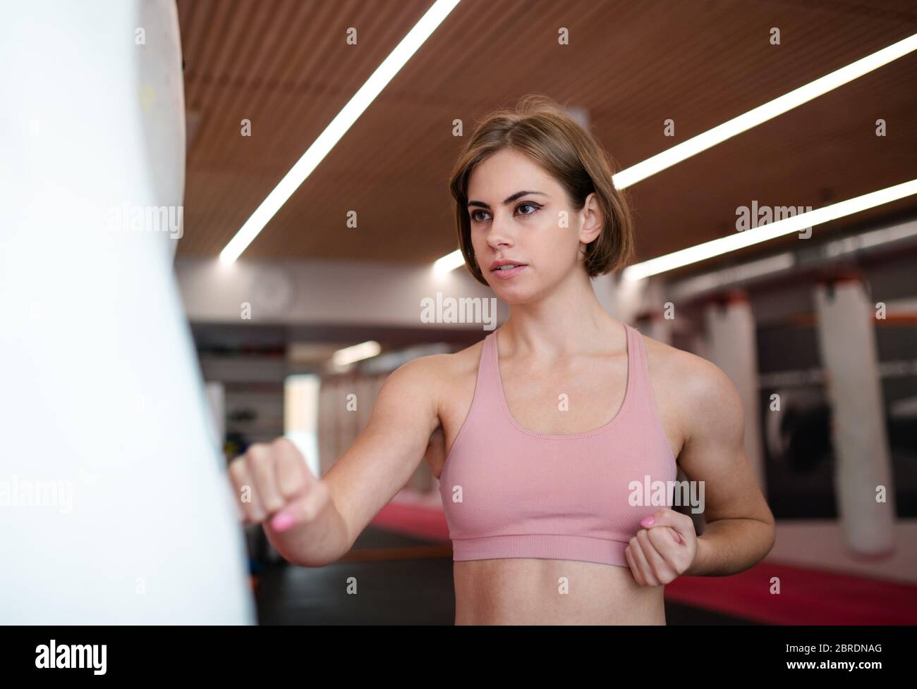 A young woman practising karate indoors in gym. Copy space. Stock Photo
