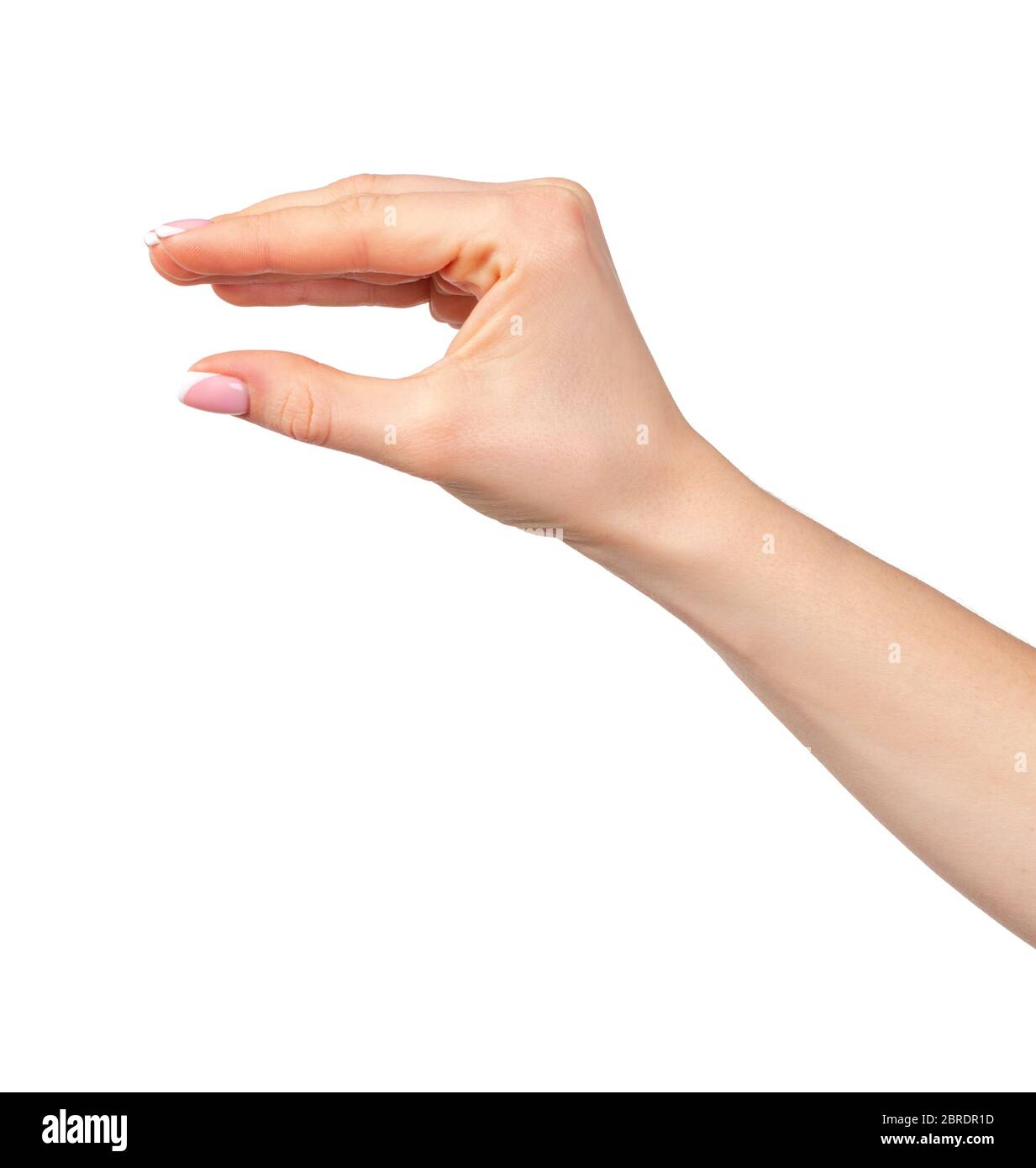Female hand holding something isolated on white background Stock Photo ...