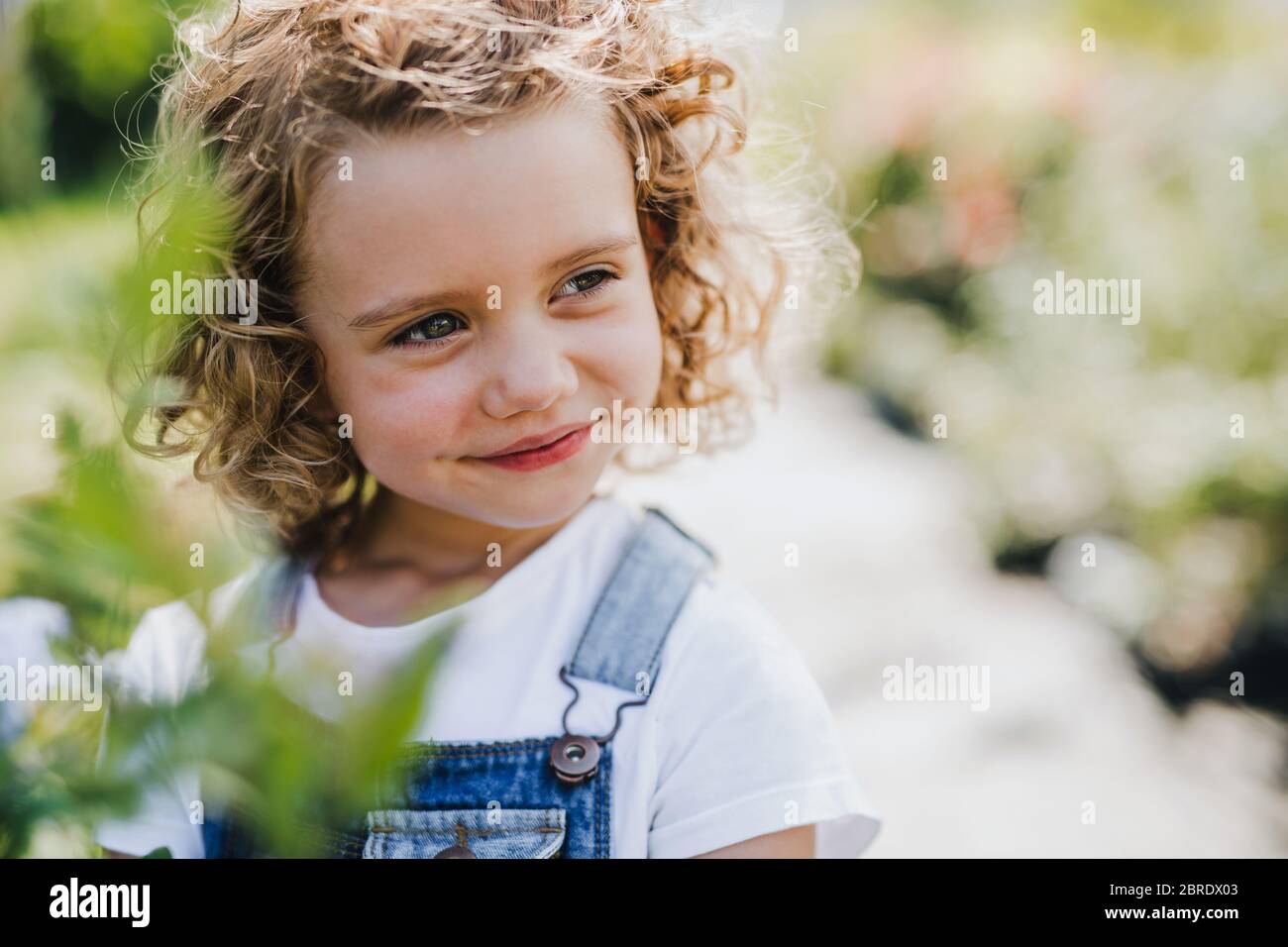 Portrait of small girl standing in the backyard garden Stock Photo - Alamy