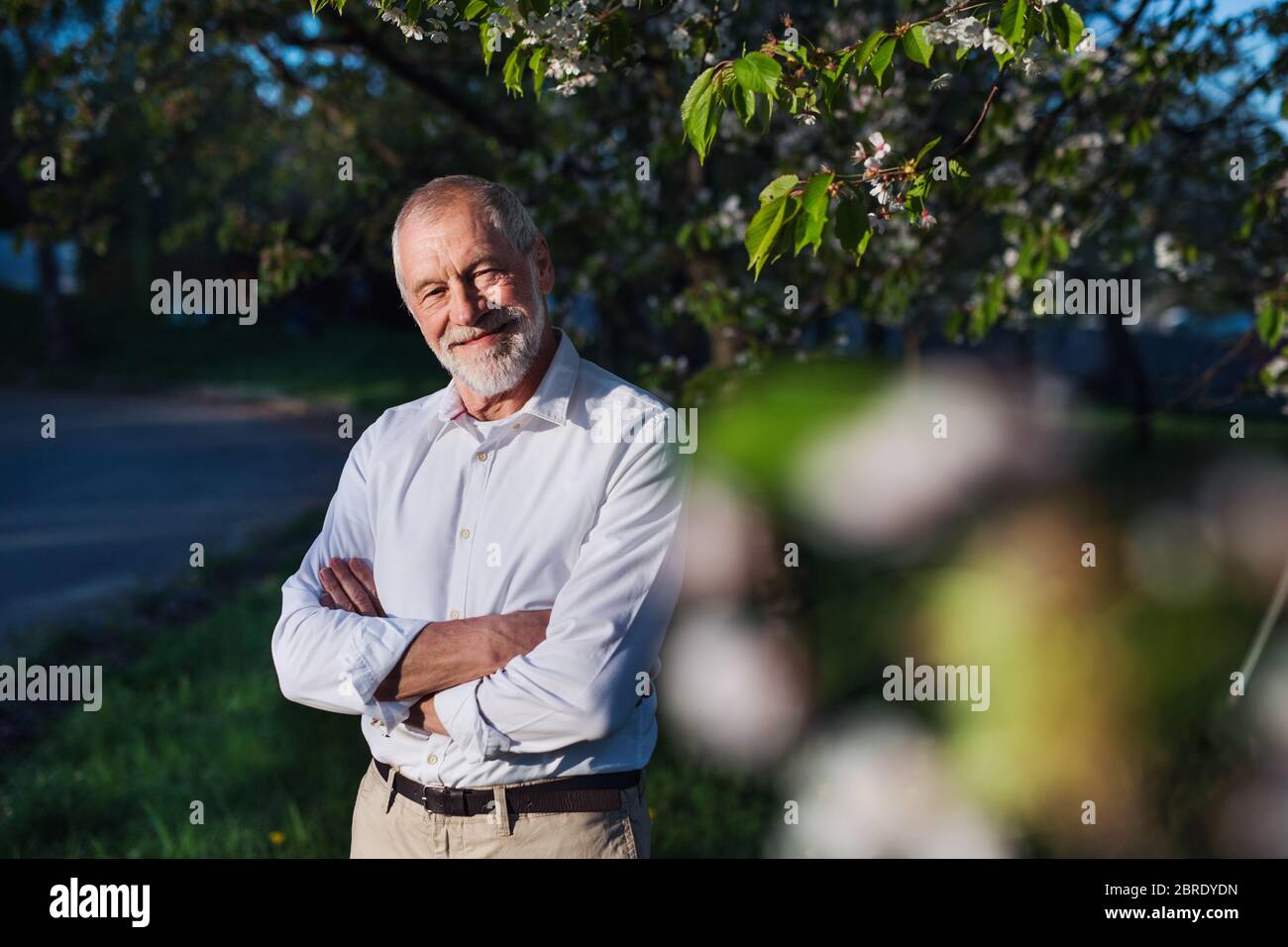 Elderly man standing outside hi-res stock photography and images - Alamy