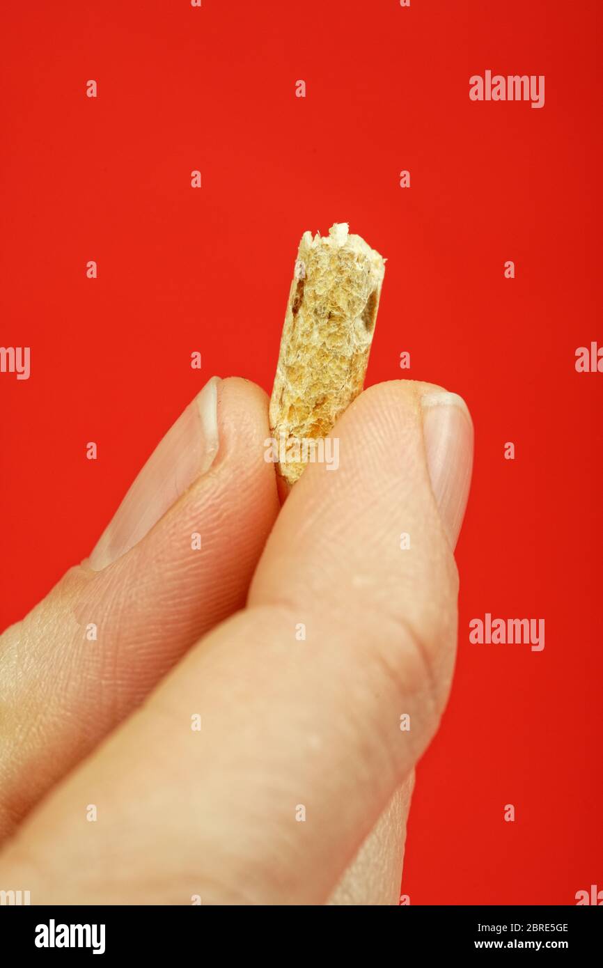 Wood-Pellets for heating purposes in the palm of a hand Stock Photo