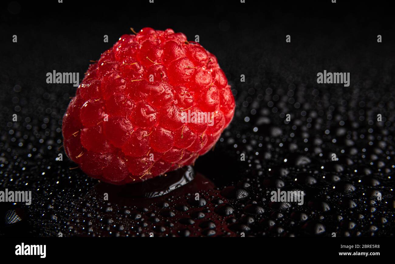 One fresh raspberry closeup on a black background isolated Stock Photo ...