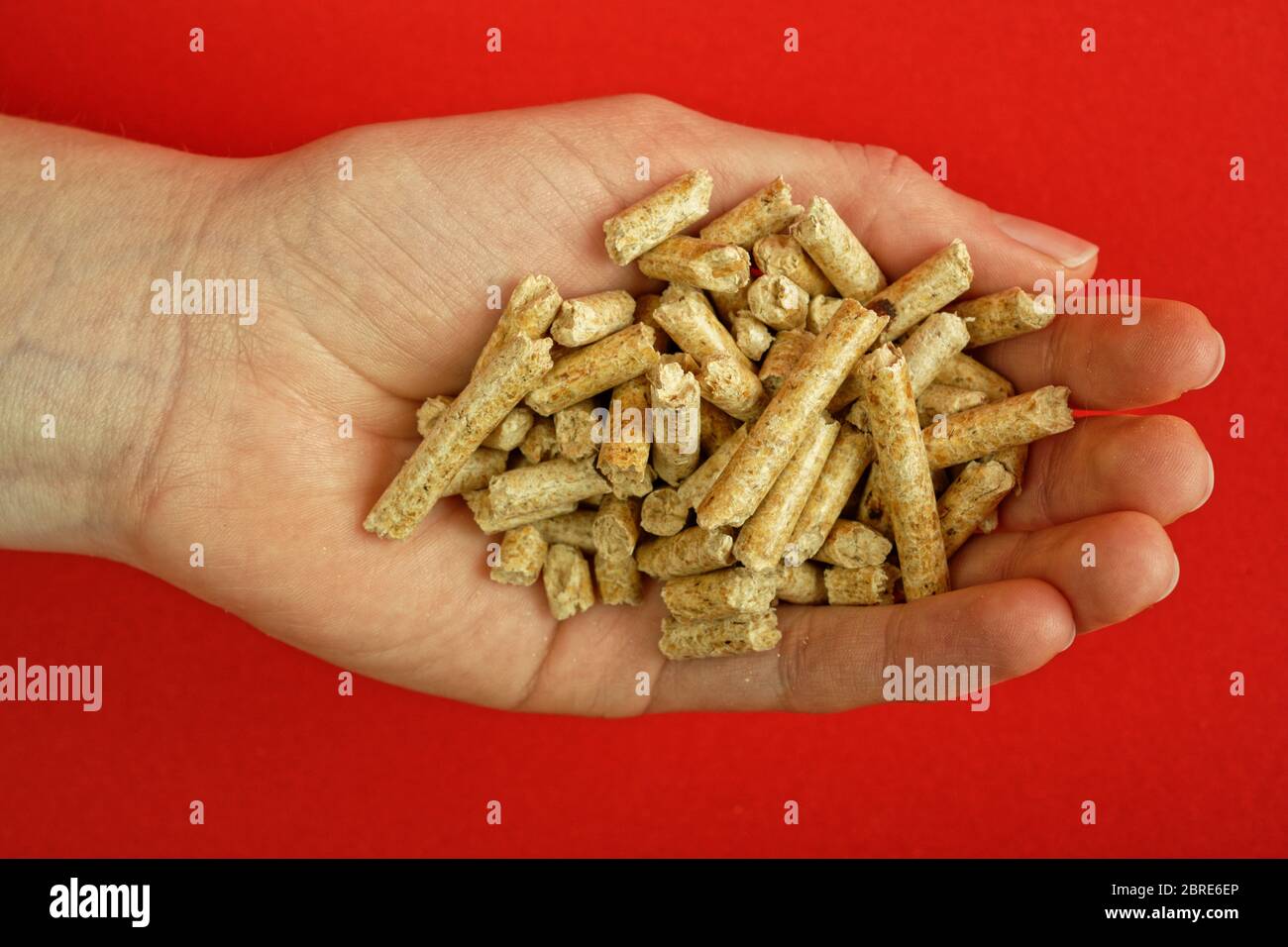 Wood-Pellets for heating purposes in the palm of a hand Stock Photo