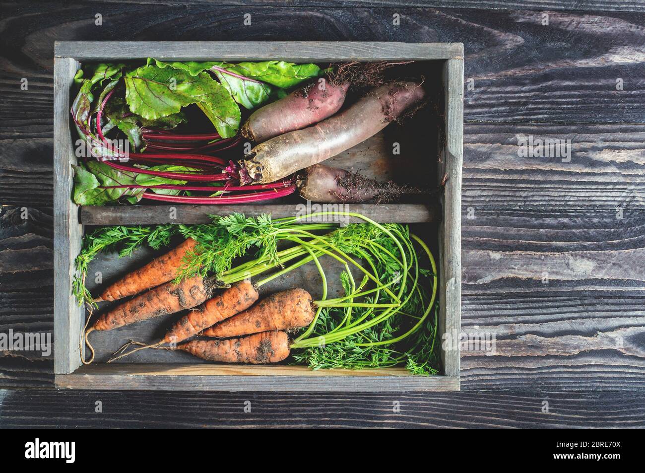 fresh beets and carrots are stored in a wooden box on the table. Close