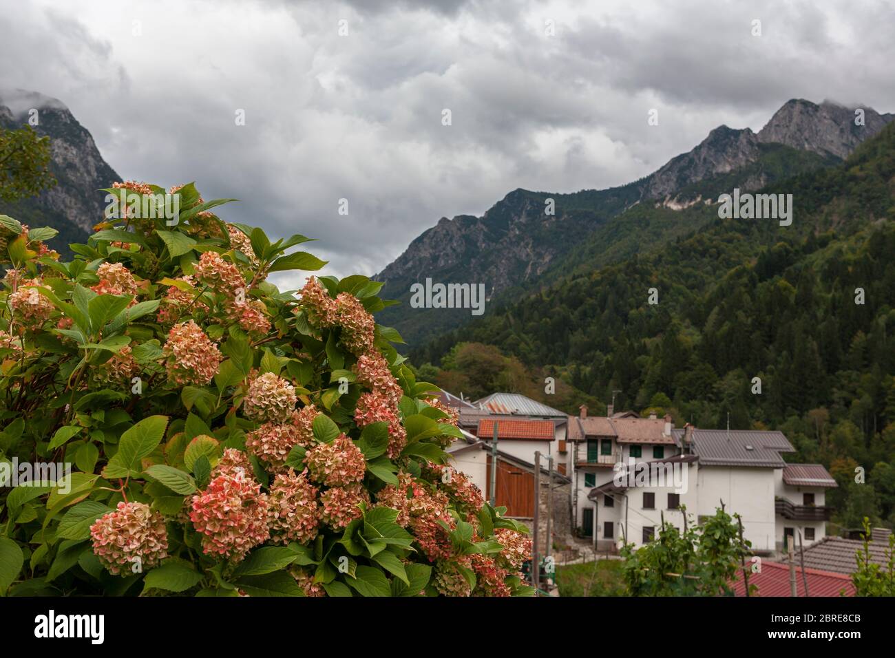 The mountain hamlet of Saps in the Val d'Aupa, Friuli-Venezia Giulia, Italy Stock Photo